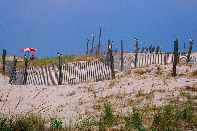 New Jersey beach shoreline