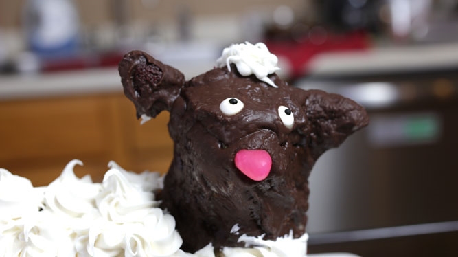 chocolate lamb cake