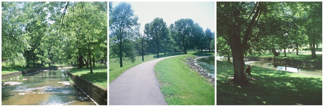 creek running through a park